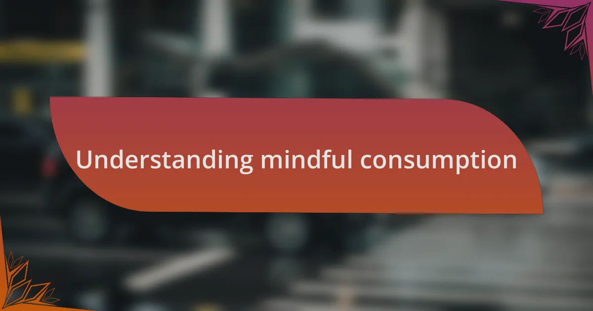 Understanding mindful consumption